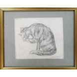 Angela Stones (1914-1995) Pencil Sketch of a Cat. 17 x 14cm. Studied under her mother Dorothy