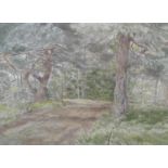 Christopher Francis Cornford (1917 - 1993), Watercolour and pencil 'Pine Wood' with COA from