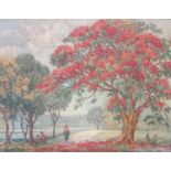 Bertha Jansz, Oil on board, 'The Flamboyant tree' by , 34 x 44cms. Inscribed on reverse