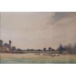 George Harrison, RCA (fl.1867-1950), Watercolour of Sheep Grazing, in gilt mount and gesso frame, 52