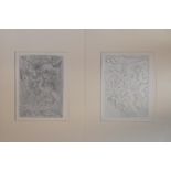 After Pablo Picasso 2 Etching 'Les Baigneuses Surprises' & 'Le Cirque Repetition from Vallard' 24