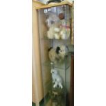 A glass display cabinet