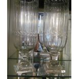 A pair tall glass tea jars.