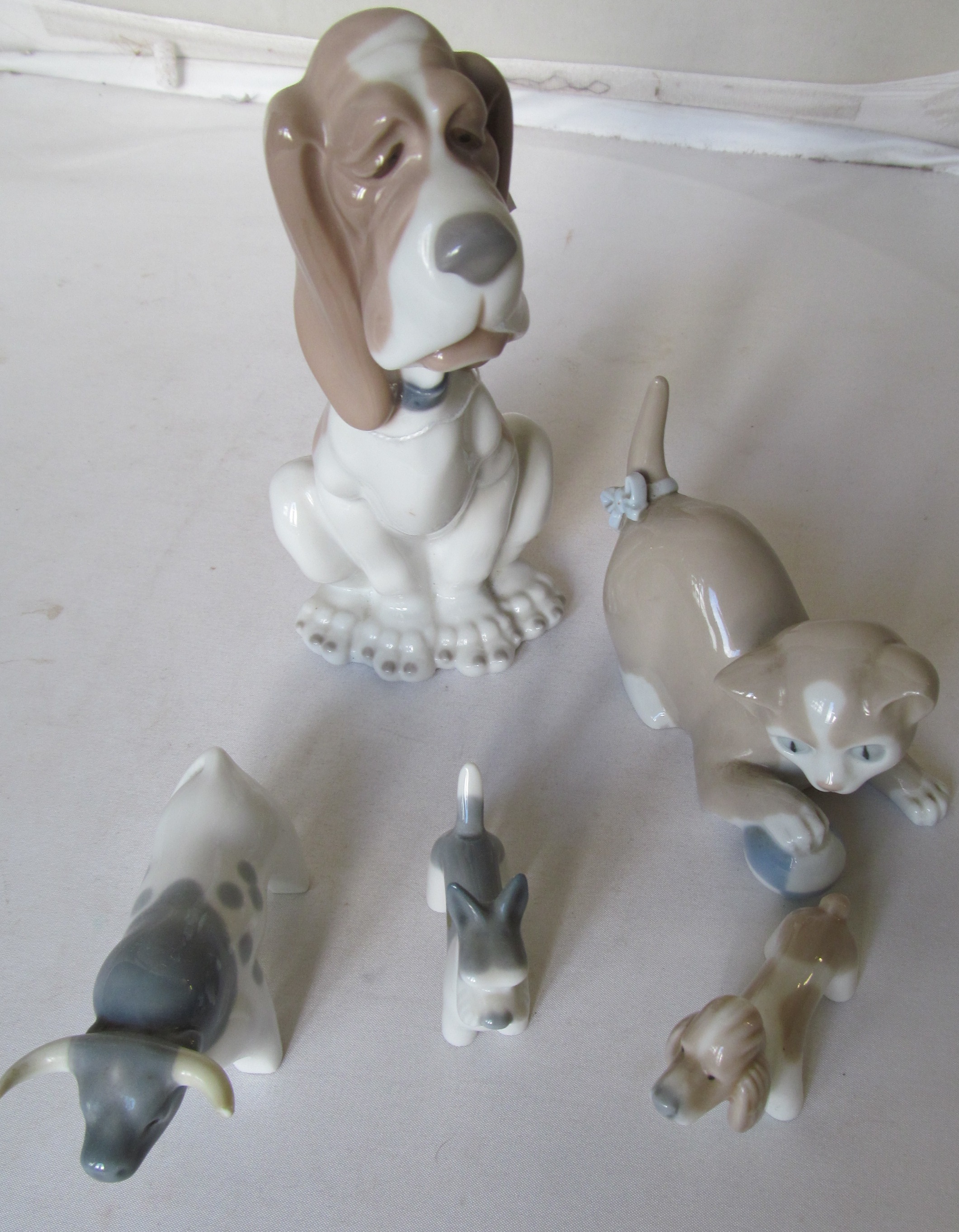 A Nao dog and a small group of other animals