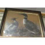 A pastel two ducks in carved frame