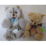 Two Steiff bears