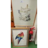 A print C.S. de Tejada and 2 parrot prints
