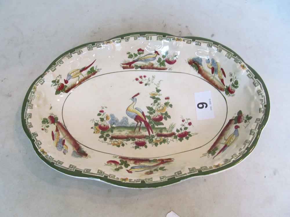 A British Anchor exotic bird plate