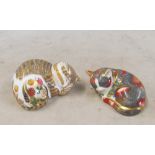 A Royal Crown Derby Catnip Kitten and Cottage Garden Kitten