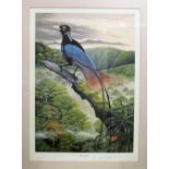 William Eddie - signed limited edition print Blue Bird of Paradise 97/250