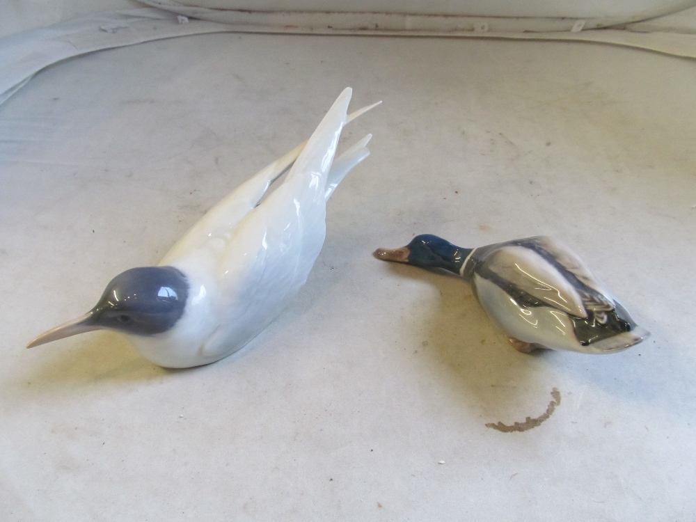 A Royal Copenhagen duck, a tern (a/f) and another duck ornament - Image 4 of 6