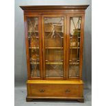 A Mahogany and Satinwood Crossbanded Bookcase, the moulded cornice above astragal glazed door