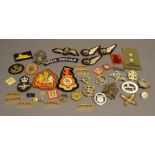 A Small Collection of Military Cap Badges and Cloth Badges