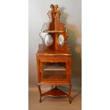 An Edwardian Mahogany Standing Corner Cabinet with a mirrored shelf back above a glazed door