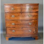 A 19th Century Mahogany Bow-Fronted Chest of Two Short and Three Long Drawers with oval brass