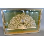 A 19th Century Carved Ivory and Lace Fan within glazed display case, 33 x 48cm