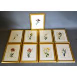 Thomas Holland A Set of Nine Botanical Watercolours signed in pencil 23cm x 17cm