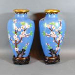 A Pair of Cloisonne Oviform Vases with foliate decoration upon a pale blue ground, each with a