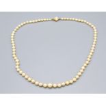 A Cultured Graduated Pearl Necklace with 9ct. Gold Clasp set with pearls, 56 cms long