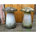 Two Stone Staddle Stones