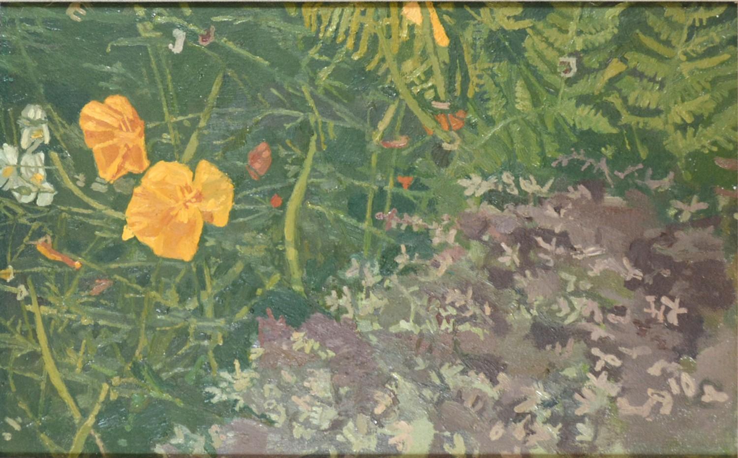 Francis Hewlett RWA 'California Poppies' Oil on Canvas monogram verso 39 x 24 cms