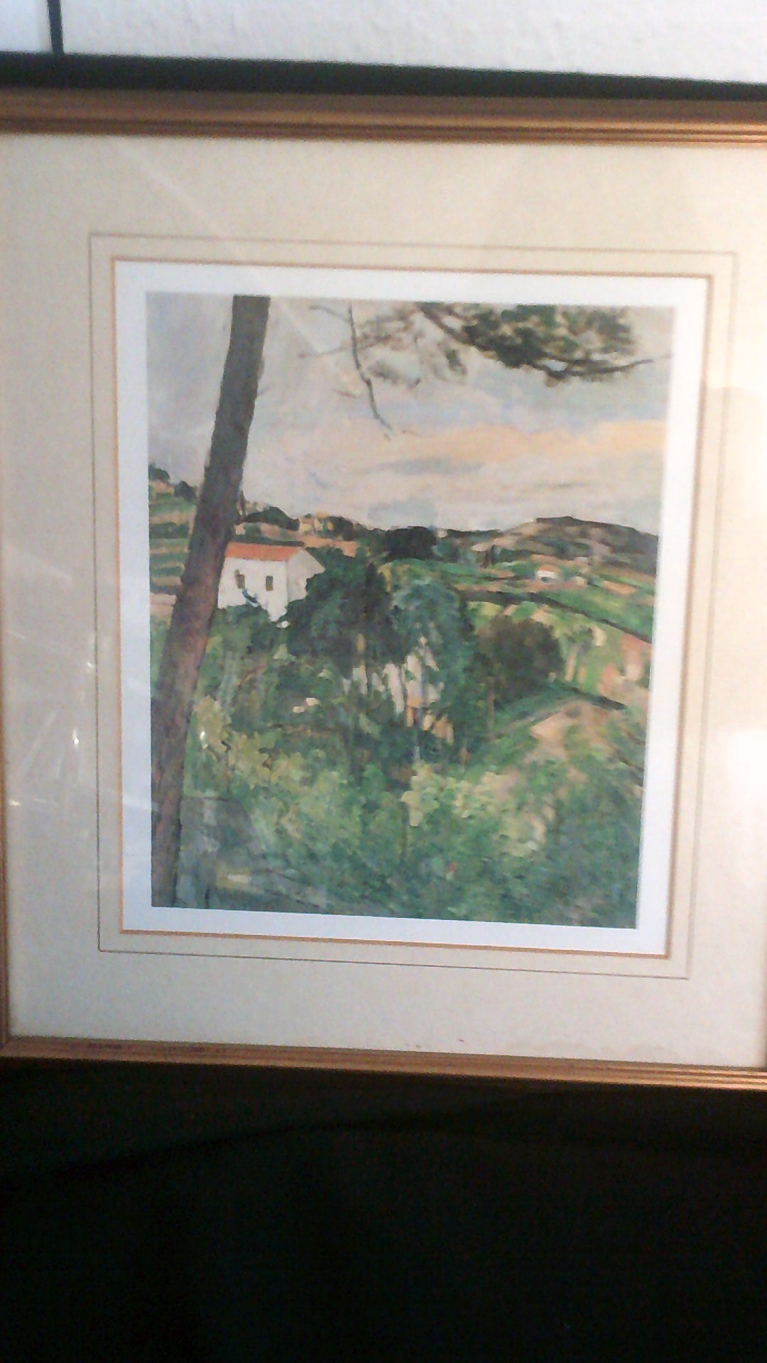 Print-Paul Cezanne (1839-1906)-Paris-Mussee de l'orangeni-gold rim wood frame 14 x 16 approx.