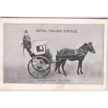 Postcard-Circus-Royal Italian Circus, fancy dress ball-The Cobby, m/s dated 1905