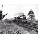 W.A.Sharman Photographic Quality Archive (10" x 8")-The original Mackinlay - 2/7/85, 5407 running as