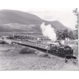 W.A.Sharman Photographic Quality Archive (10" x 8")-West Highlander -14/7/85, 5407 leaves Banavie