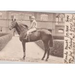 Postcard-Horse Racing 'Jeddah' 1898 Winner of the Derby fine photo of Mr J.W. Larnach's winner and