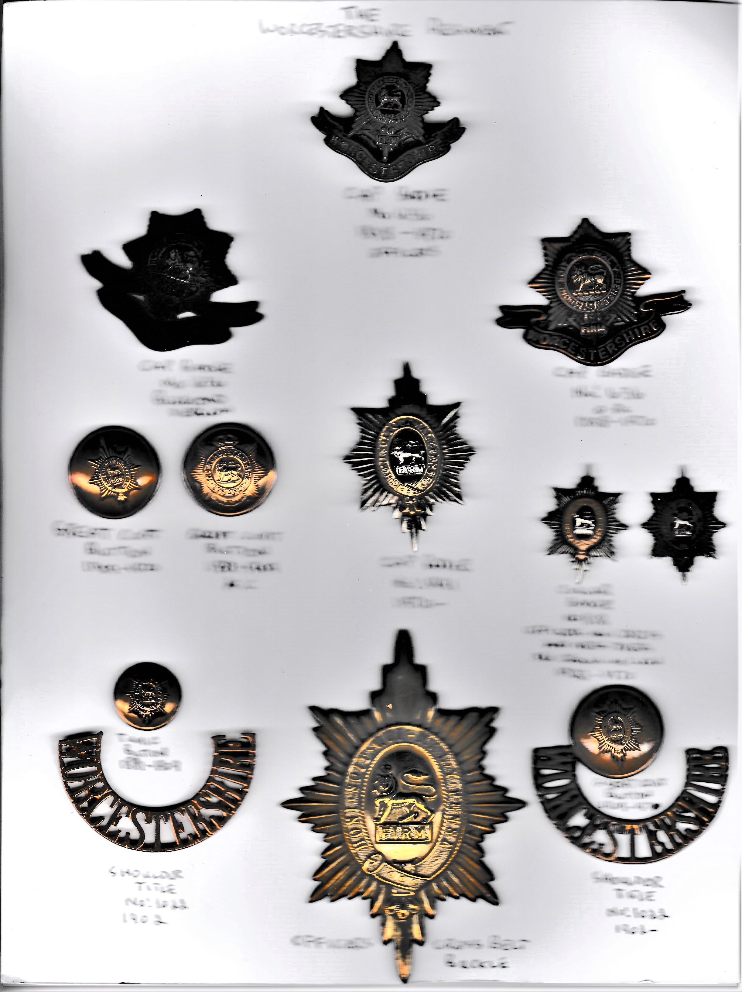 Worcestershire Regiment Military Badge Collection on a sheet including: Officers Cap Badge (Bronze),