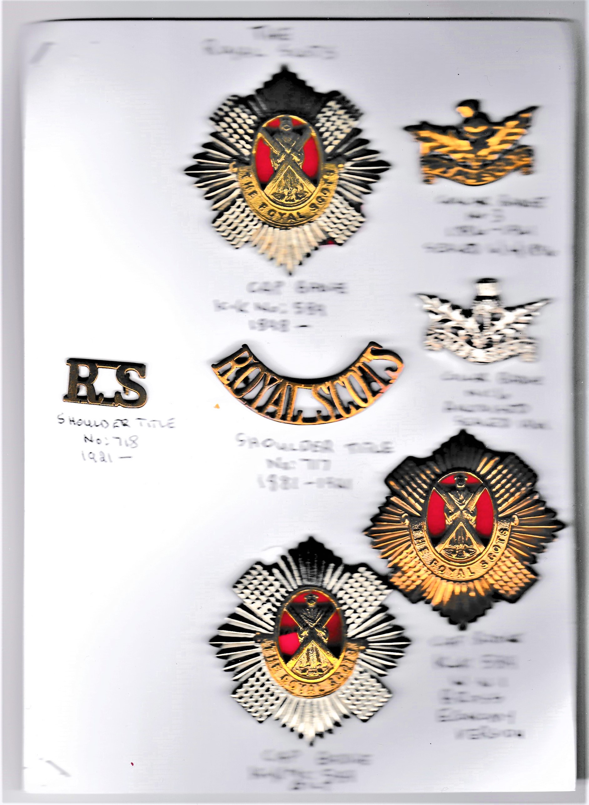 The Royal Scots Regiment Including K&K: 589 (Bi-metal and War Economy, Shoulder Titles and two