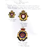 Royal Logistics Corps EIIR Cap Badges and Collar Badge (Staybright & Enamel). Regt formed from