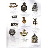 British Yeomanry Cap Badges (8) and Shoulder Titles(20 including: Royal Berkshire (Hungerford),