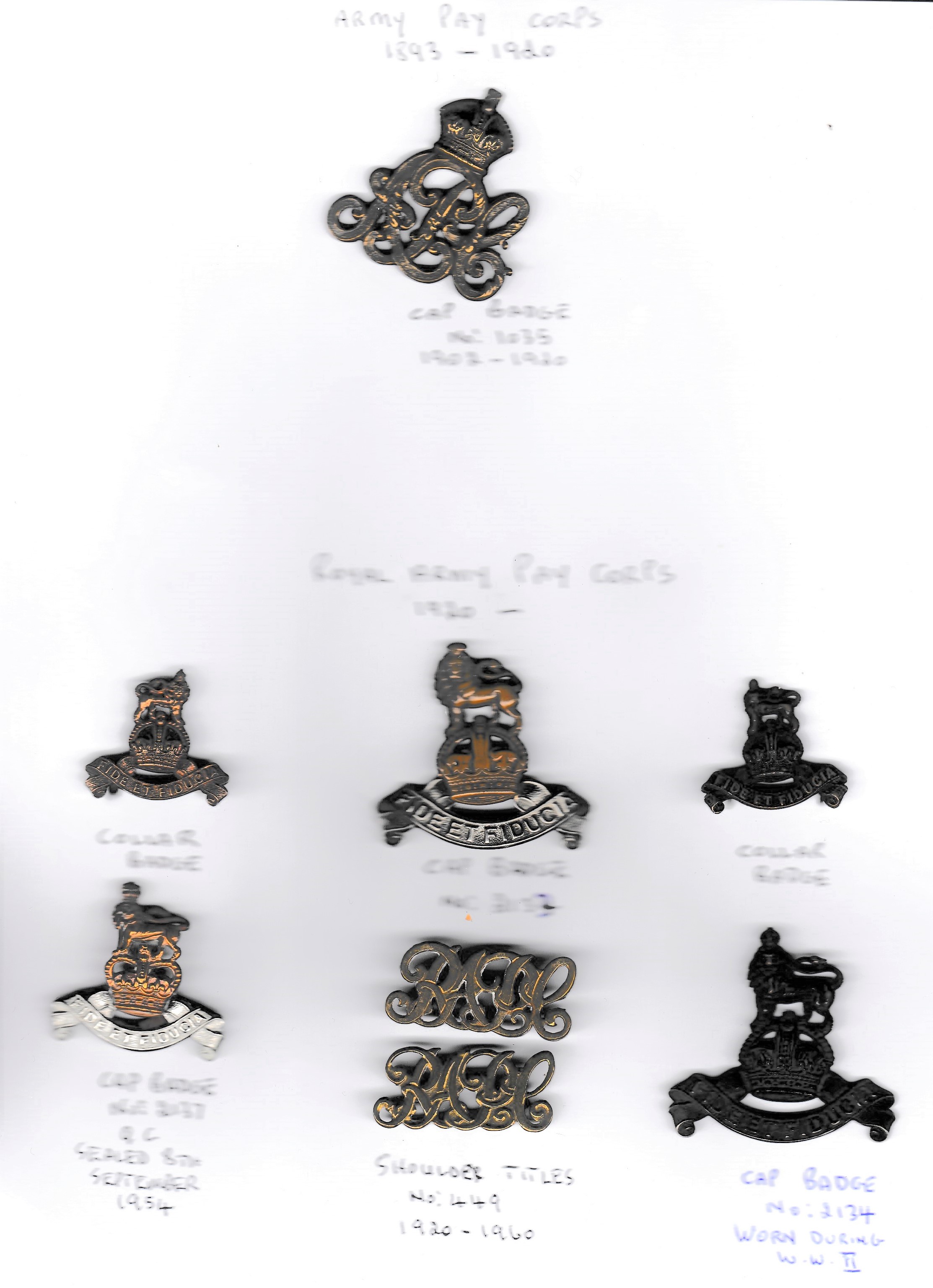 Army Pay Corps Cap, Collar Badge and shoulder title Collection (8) 1902-1920 Issue Cap Badge K&K: