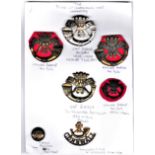 Duke of Cornwall's Light Infantry Badge Collection including: a Cap Badge (White-metal), 1st