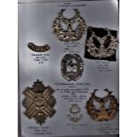 The Gordon Highlanders Cap Badge and Cross Belt collection including: K&K: 687 1898 onwards Cap