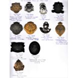 The Volunteer Force of 1914-1919 (11) Cap Badges including: Sussex Volunteer Training Corps,