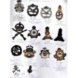 British Miscellaneous Corps/Units (14) Labour Corps Cap Badges (2) (One economy plastic), Glider