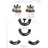 The Cambridgeshire Regt Cap Badge and Shoulder Titles, Two Cap Badges (With Error cast missing