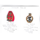 Queen Alexandra's Royal Army Nursing Corps and Women's Royal Army Corps EIIR Cap Badges (Bi-