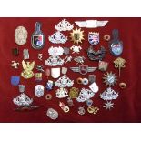 German Fire fighter and Police Badge Collection, many enamel city badges, two Police Badges (one