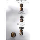 Royal Irish Fusiliers (Princess Victoria's) Cap Badges (3) and Great Coat Button (Bi-metal and