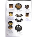 The Essex Regiment Badge Collection on a Sheet including: Essex Regiment Cap Badges (Bi-metal and