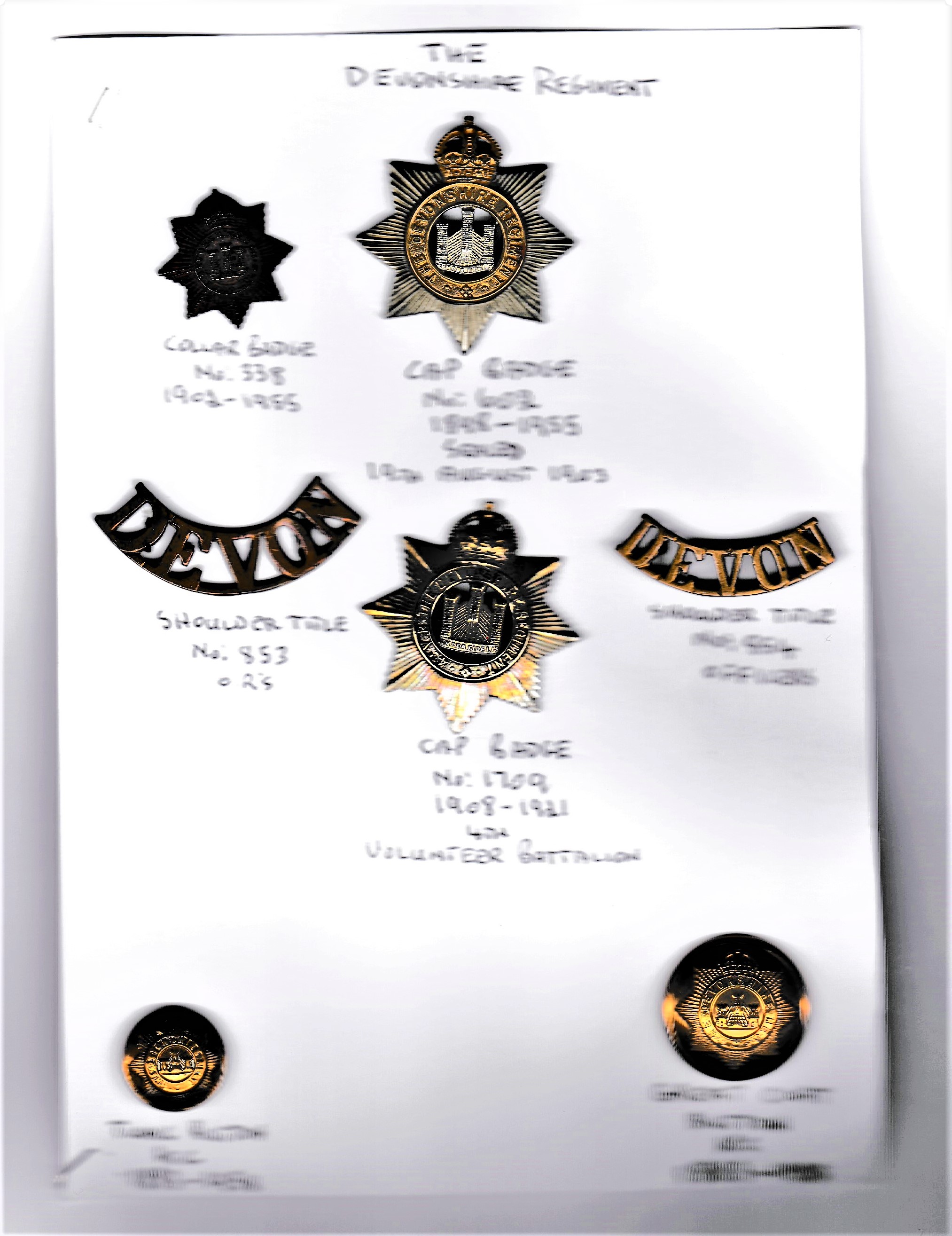 Devonshire Regiment Collection on a sheet: The Devonshire Regiment Cap Badge, 4th Volunteer