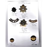 Devonshire Regiment Collection on a sheet: The Devonshire Regiment Cap Badge, 4th Volunteer