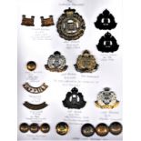 Suffolk Regiment Badge Collection on a sheet: Victorian Cap Badge and Collar Badges, 1902-46 Cap