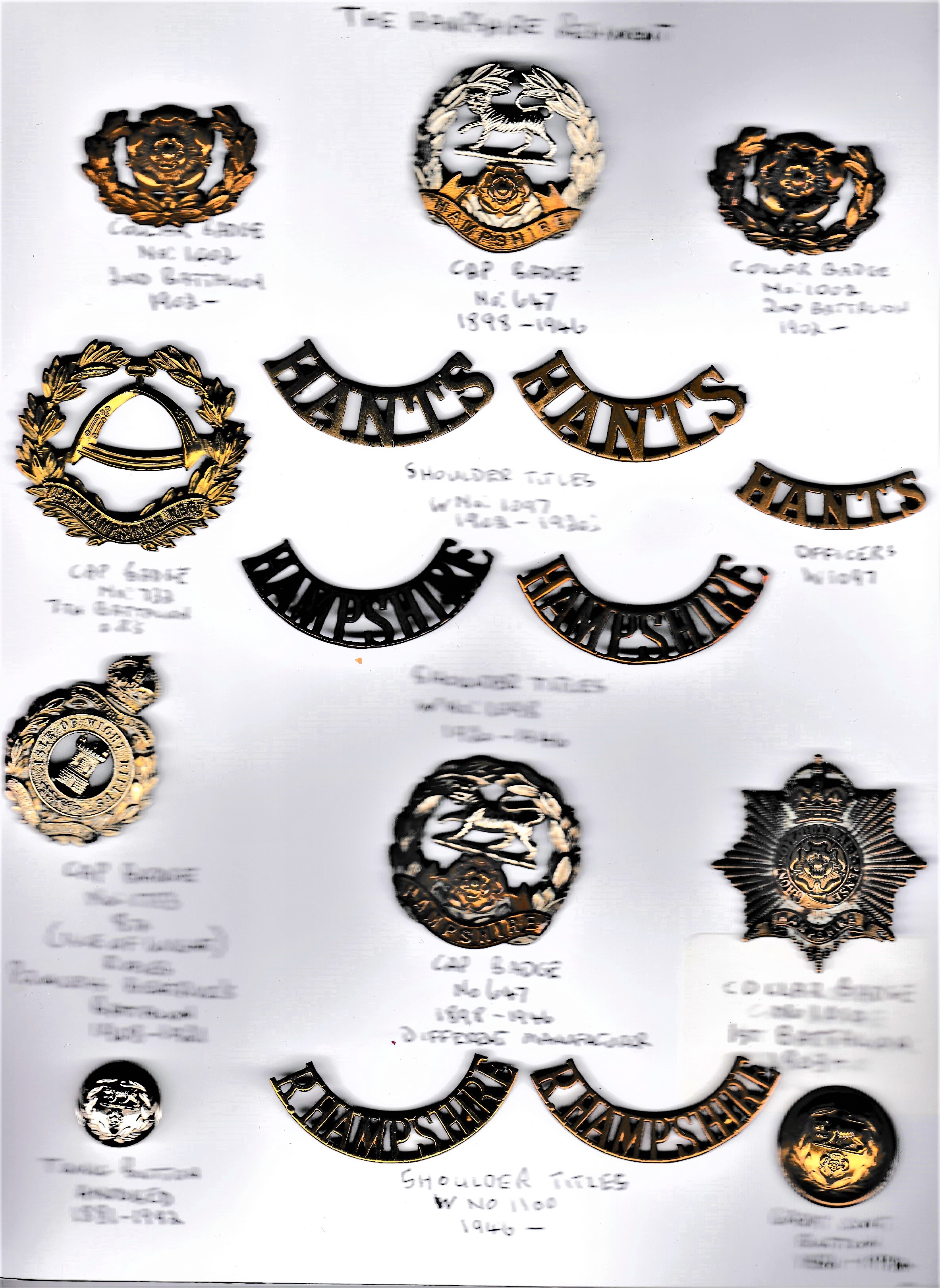 The Hampshire Regiment Military Badge Collection (16) Including K&K: 647 Hampshire Cap Badges (2)