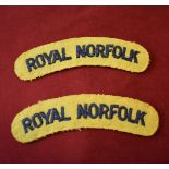 Royal Norfolk Regiment Cloth Shoulder Titles, black stitch on yellow cloth.