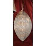 Traditional Zulu Warrior Shield the hide size is 67cm's by 38cm's. Zulu shields are traditionally